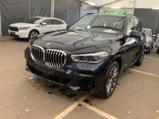Baureihe X5 xDrive 30 d M Sport 3.0 210KW AT8 E6d