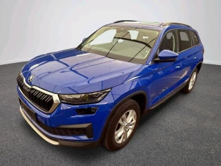 Kodiaq Ambition 2.0 TDI 110KW AT7 E6d