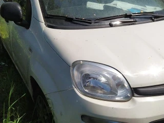 FIAT PANDA (PC) 1.0 70CV S&S HYBRID FP