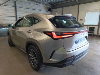 LEXUS NX 350h Pack Business 2WD