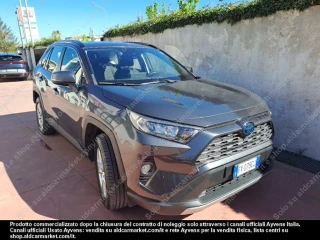 TOYOTA RAV4 2.5 HV 222v E-CVT Business 4WD Cross over 5-door (Euro 6.2)