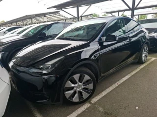 TESLA MODEL Y Model Standard RWD