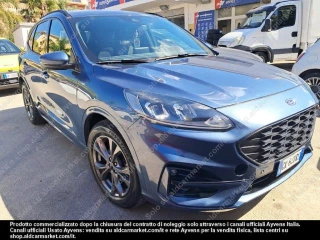 FORD KUGA 1.5 EcoBlue 120CV 2WD ST-Line Auto Sport utility vehicle 5-door (Euro 6.2)