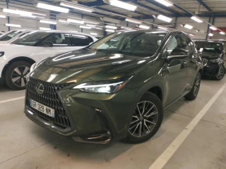 Lexus NX 350h Pack Business 4WD