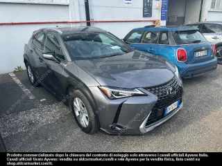 Lexus UX (PC) HYBRID BUSINESS 2WD