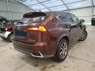Lexus NX 300h 2WD Luxe