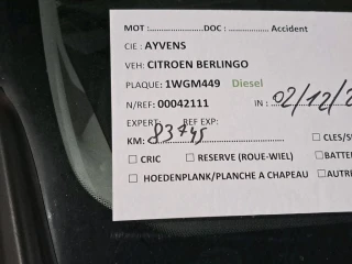 Citroen Berlingo