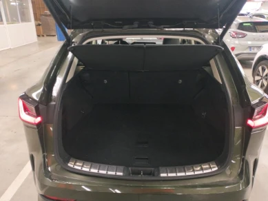 Lexus NX 350h Pack Business 4WD