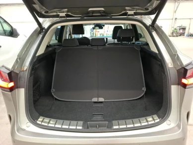 Lexus NX 450h+ Luxe 4WD