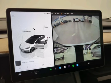 Tesla MODEL 3 50KWH STANDARD RANGE AUTO RWD
