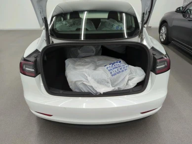 Tesla MODEL 3 50KWH STANDARD RANGE AUTO RWD
