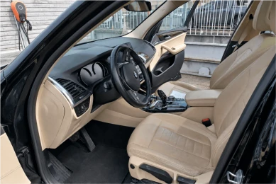 BMW X3 xDrive20d MHEV Business Edition sport