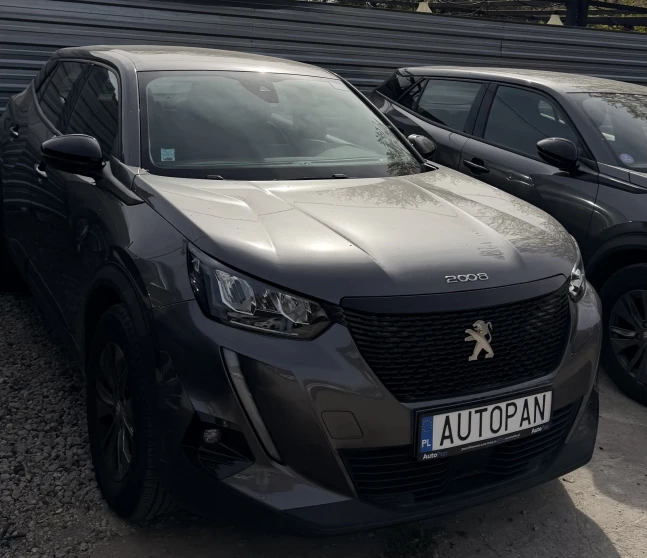 Peugeot 2008 PureTech 100 Active S&S BVM6